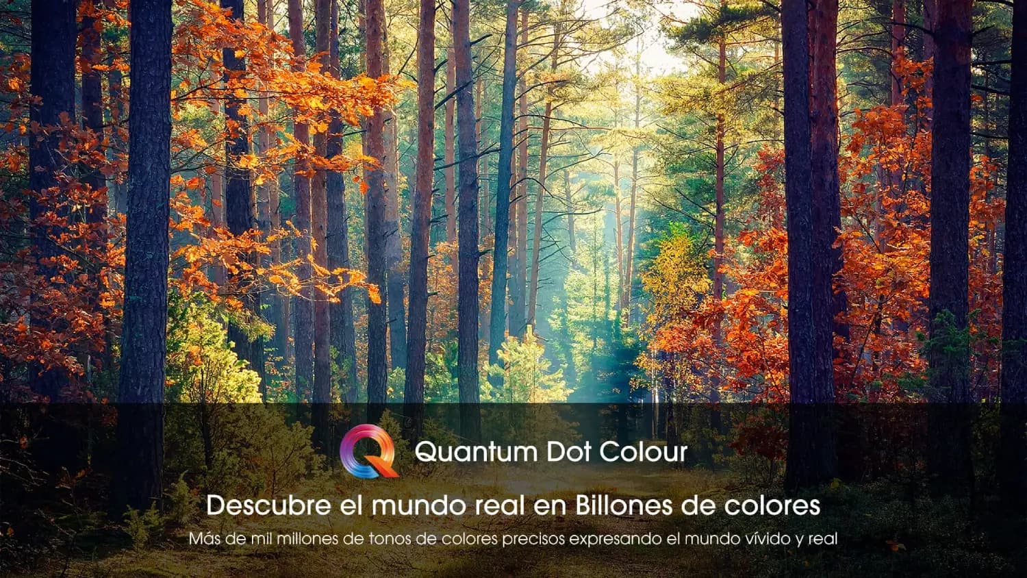 Quantum-Dot-Colour.webp