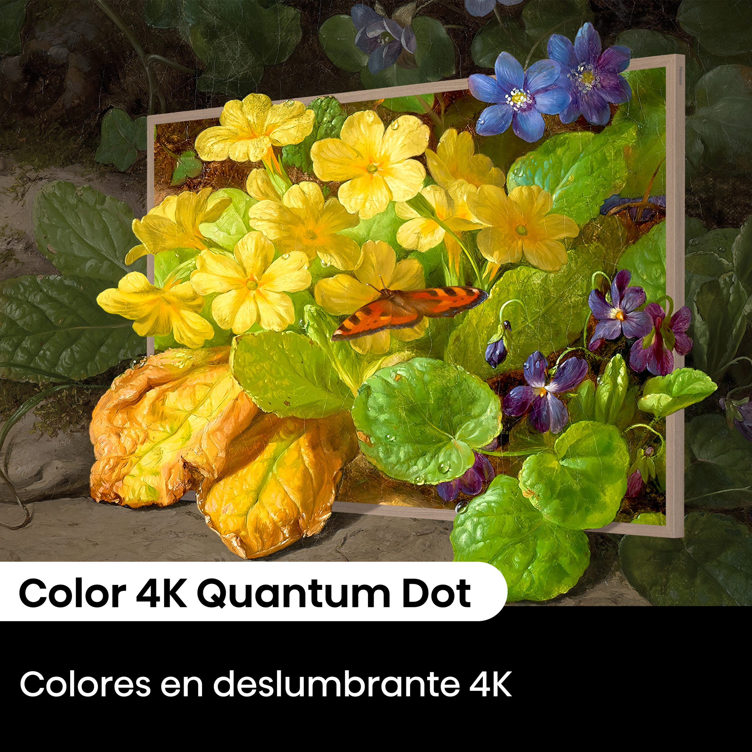 7-4K Quantum Dot Colour